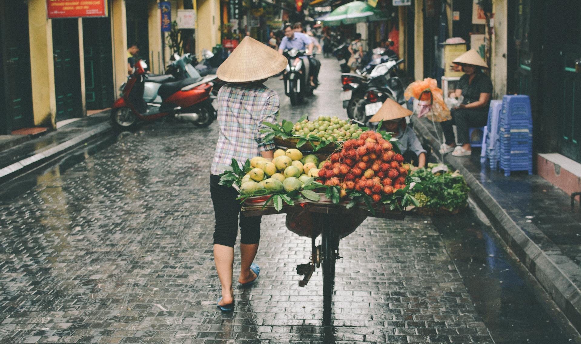 Start your visa-prepared journey with Vietnam’s vibrant glow